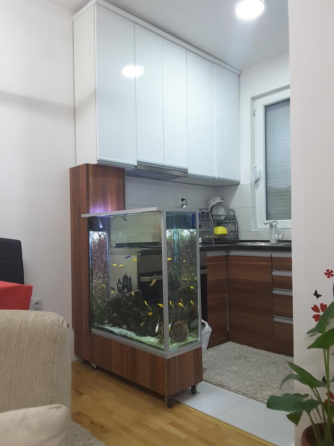Apartment ヴェレス エクステリア 写真
